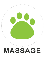 Dog Massages